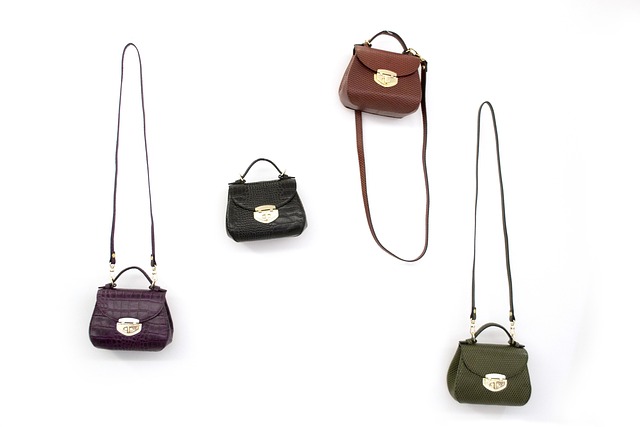Free Leather Handbag photo and picture