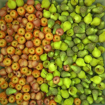 Äpfel, Birnen, Obst, 3D