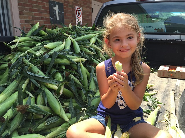 Free Farmers Market Corn photo and picture