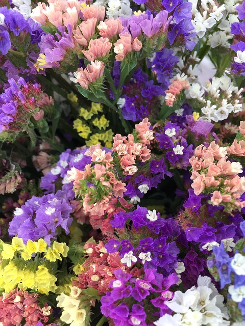 Free Flowers Nature photo and picture