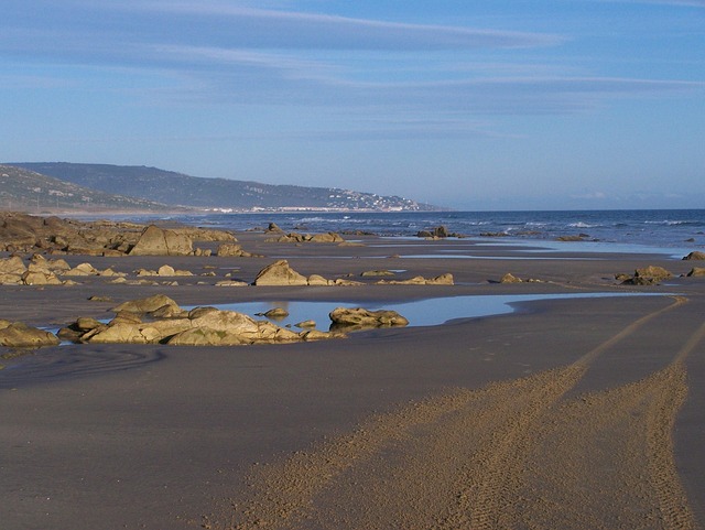 Free Beach Rocks photo and picture