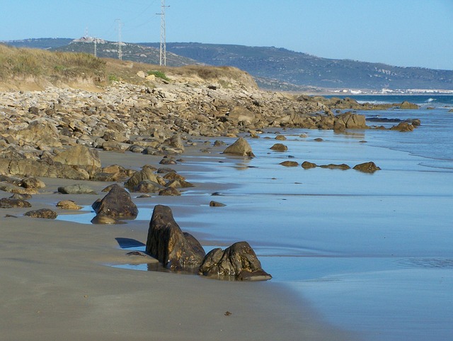 Free Shore Beach photo and picture