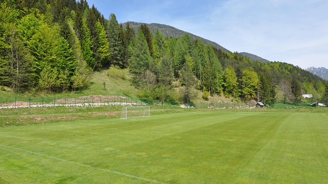 Download free HD stock image of Football Football Field Free Football Football Field photo and picture