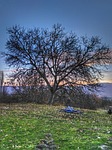 nature, open air, sky