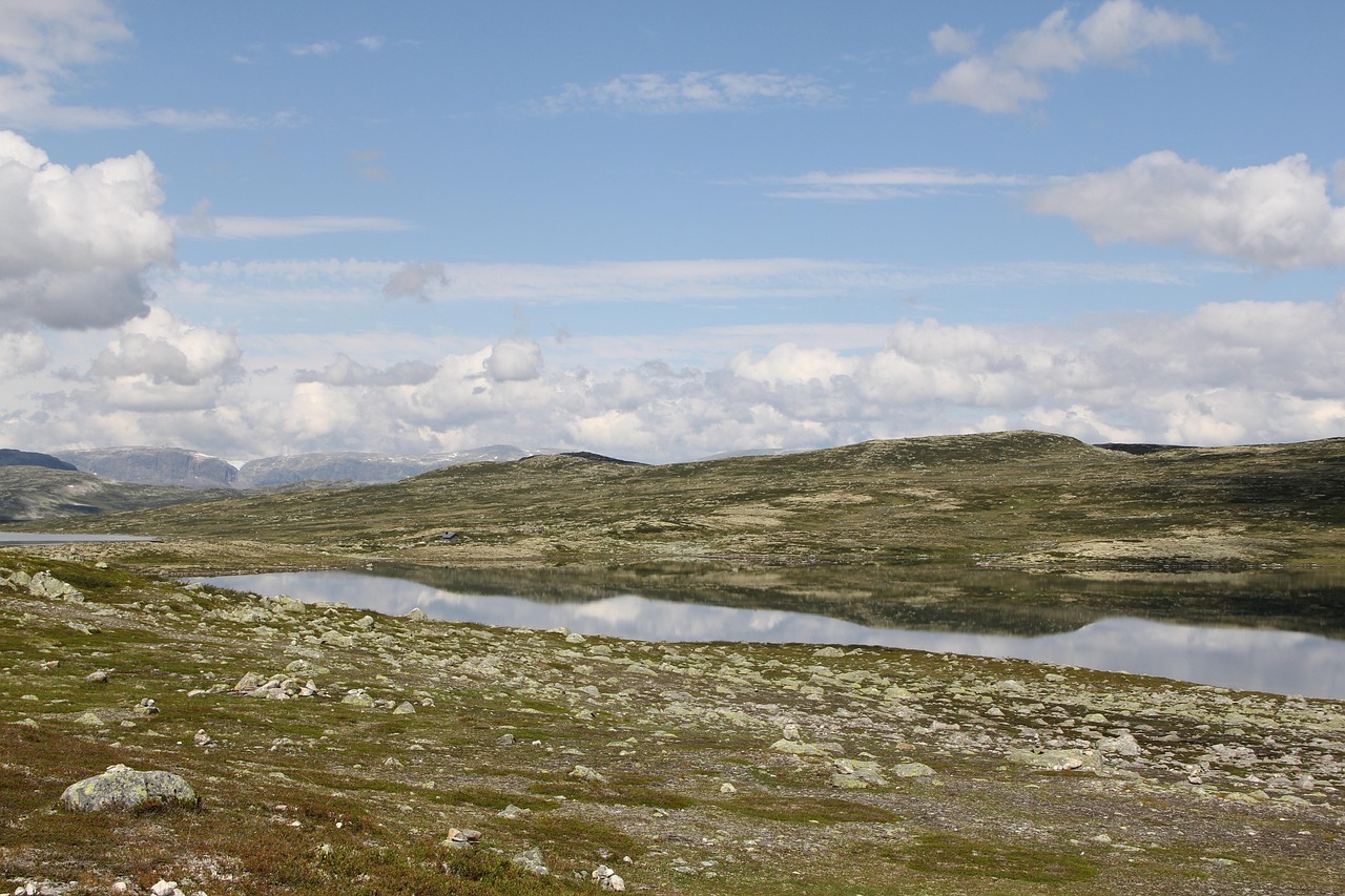 Norway Nature Sun - Free photo on Pixabay - Pixabay