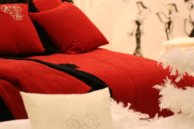Free Decor Sofa photo and picture