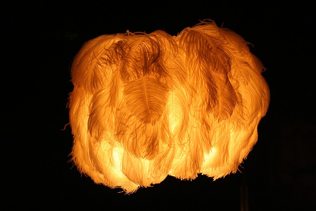 Free Light A Lamp photo and picture
