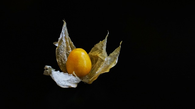 Free China Fruit photo and picture