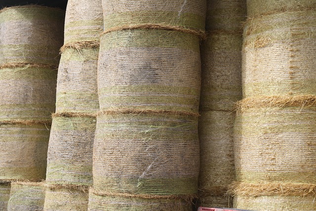 Free Hay Barn photo and picture