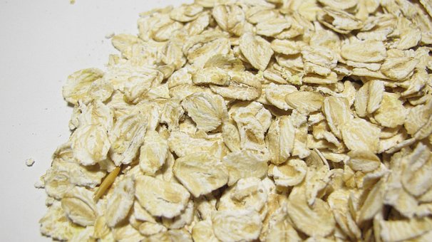 Free Oat Food photo and picture