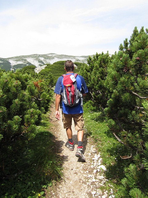 Free Hike Mountain photo and picture