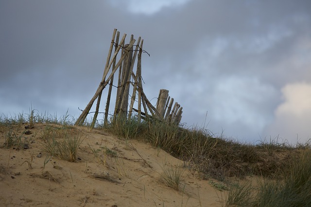 Free Sand Beach photo and picture