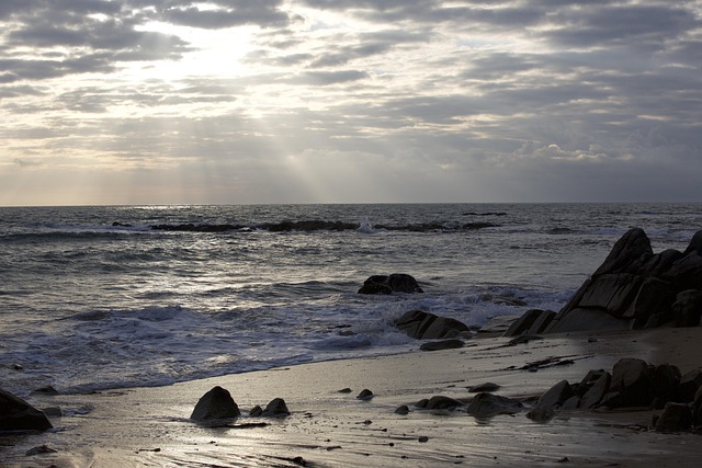 Free Sea Evening photo and picture