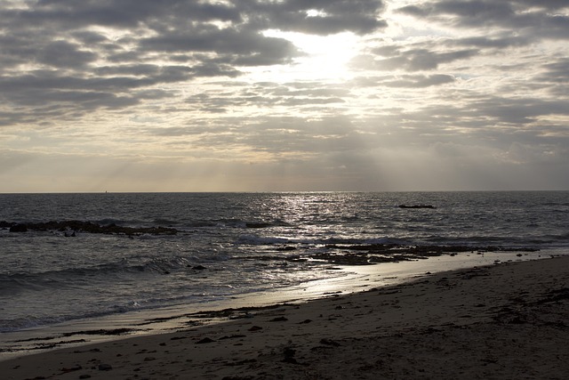 Free Sea Evening photo and picture