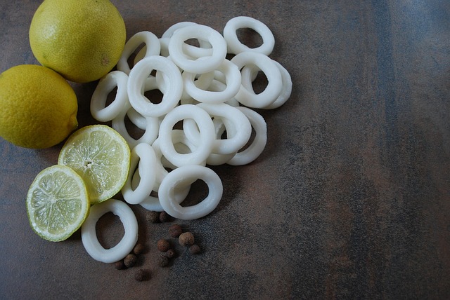 Free Fresh Squid photo and picture