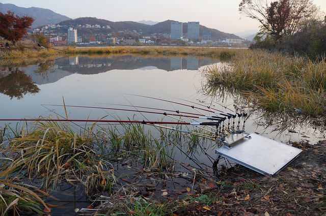 Free Fishing Rod Carp Fishing Rod photo and picture