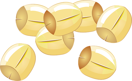 Free Lotus Seeds Seeds vector and picture