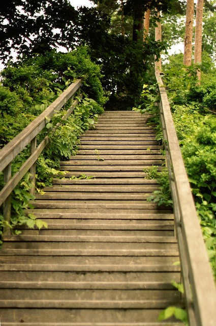 Free Stairs Wood photo and picture