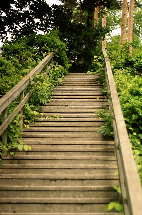 kostenloses-foto-leiter-holz-der-weg-kostenloses-bild-auf-pixabay