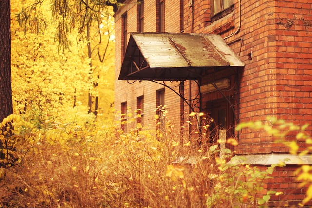 Free Autumn The Park photo and picture