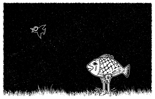 Sprookje, Nacht, Vis, Lucht, Vogel