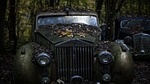 rolls royce, old car abandoned, leaves