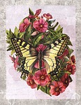 vintage, butterfly, flower