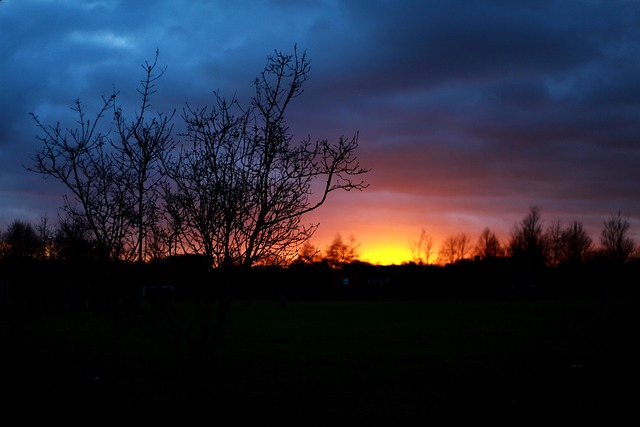 Free Sunset Beautiful Wallpaper photo and picture