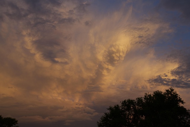 Free Evening Cloud photo and picture