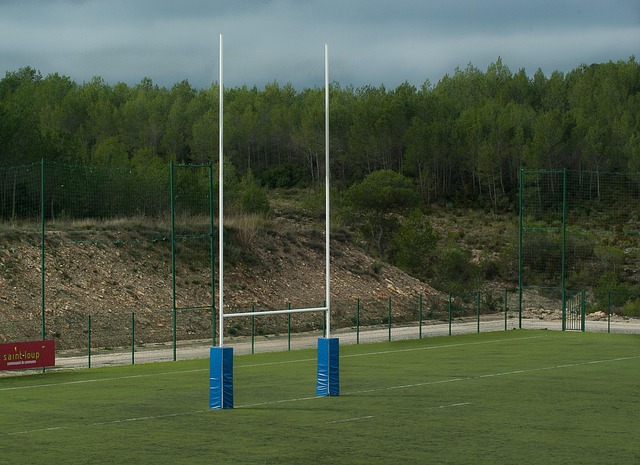 Rugby RugbyFeld Stangen Kostenloses Foto auf Pixabay Pixabay