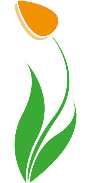Free tulip spring blossom vector