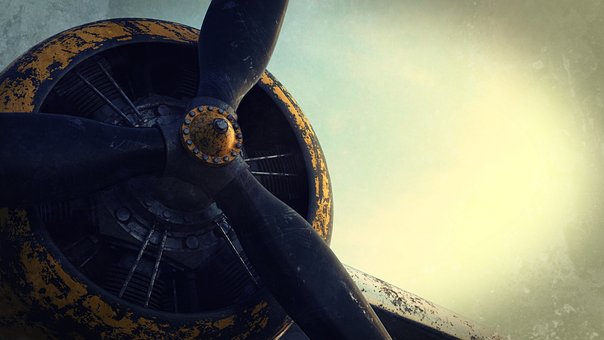 Fly, Skrivebordsbaggrunde, Smukt Tapet