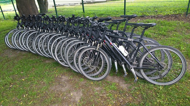 Hjul, Cykler, Pushbike, Fillarit, Linje