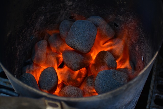 Free Fire Grill photo and picture