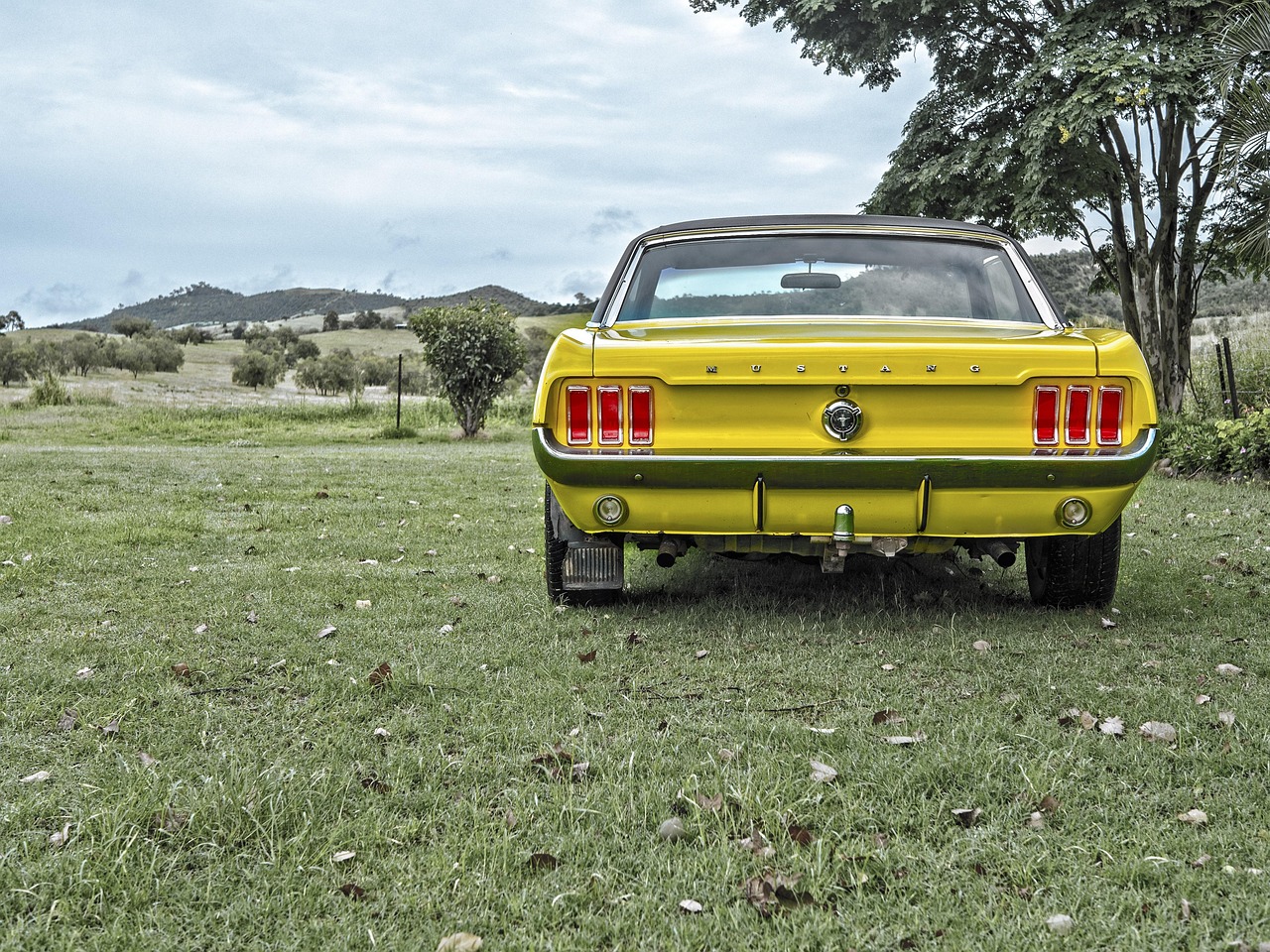 mustang-1184505_1280.jpg
