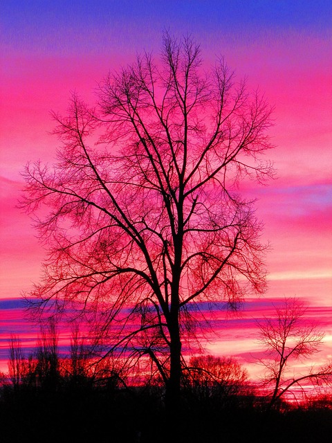 Sonnenaufgang, Wunderschön, Himmel