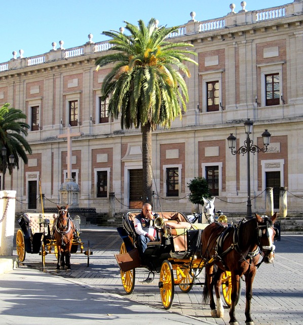 Free Horseflesh Seville photo and picture