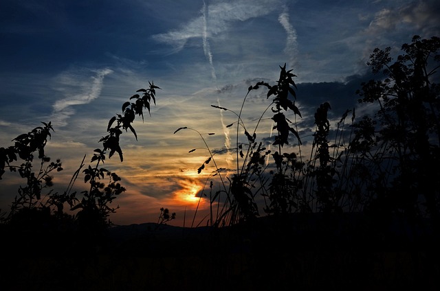 Free Nature Sunset photo and picture