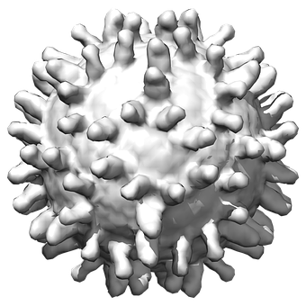 West-Nil-Virus, Virus, Medizin, Biologie