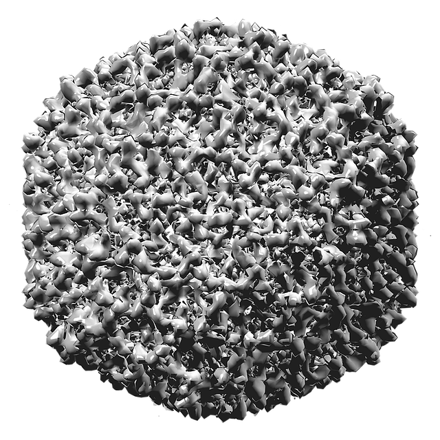 Virus De La Bursitis Infecciosa, Virus