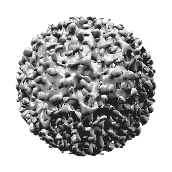 Hepatitis B Virus, Virus, 3D, Struktur