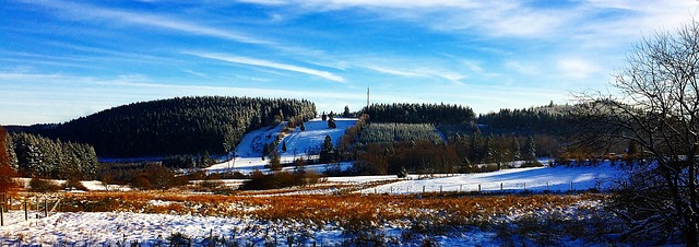 Free Winter Snow photo and picture