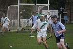 ireland, hurling, sport
