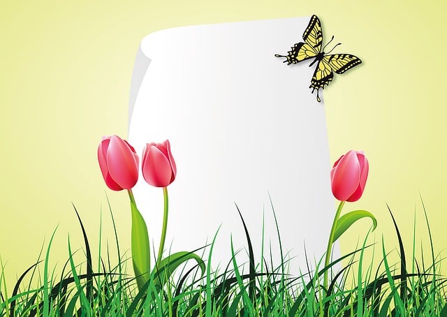 Free spring tulip nature illustration