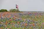 flags, texas flag, us flag
