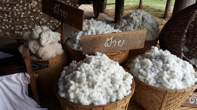 Free Cotton Nature photo and picture