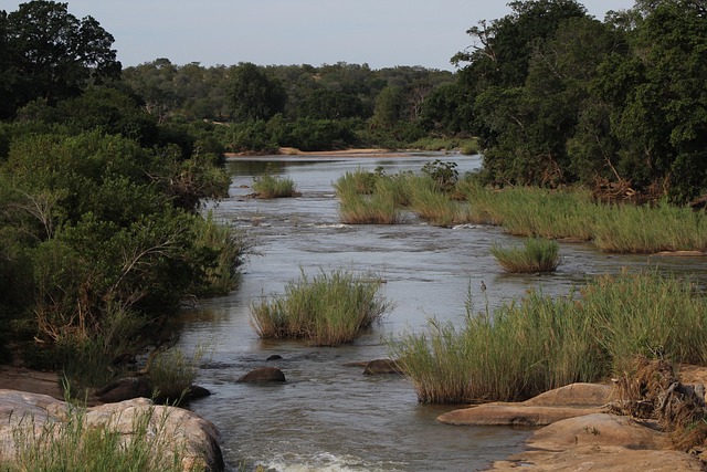 Free River Nature photo and picture