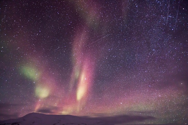 Free Aurora Auroras photo and picture