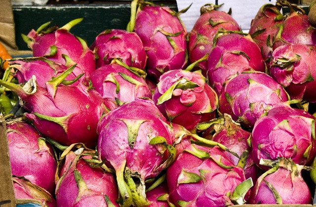 Free Dragonfruit Fruit photo and picture