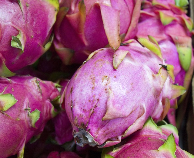 Free Dragonfruit Fruit photo and picture